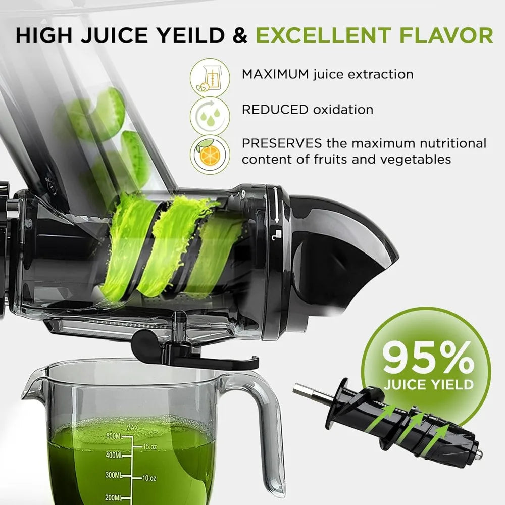 BlendJoy Cold Press Juicer