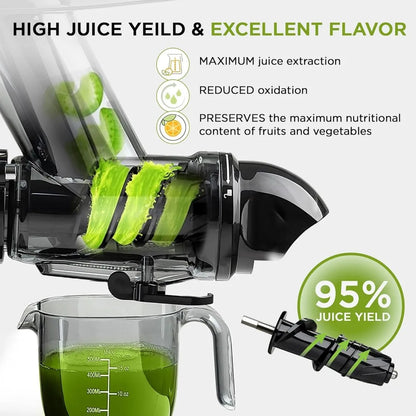 BlendJoy Cold Press Juicer