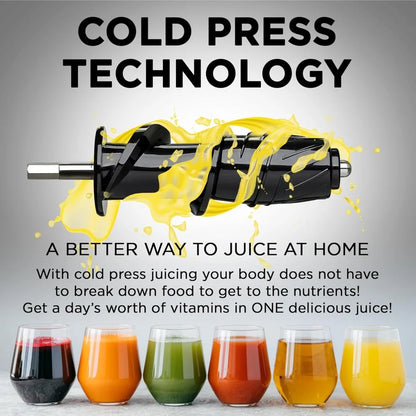 BlendJoy Cold Press Juicer