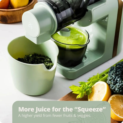 BlendJoy PurePress Juicer